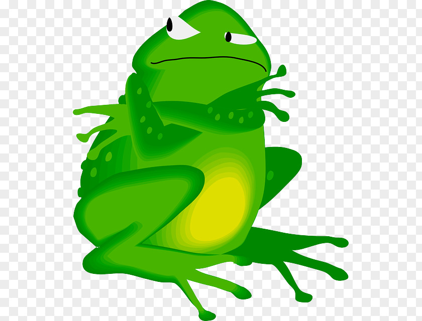 Amphibian Frog Clip Art PNG