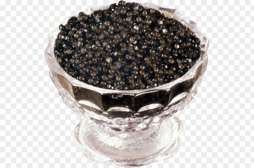 Fish Beluga Caviar Delicacy PNG