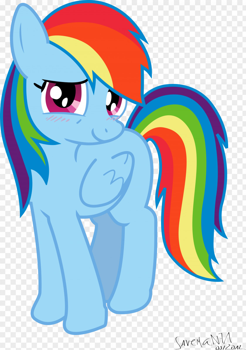 My Little Pony Rainbow Dash Pinkie Pie Rarity Fluttershy PNG
