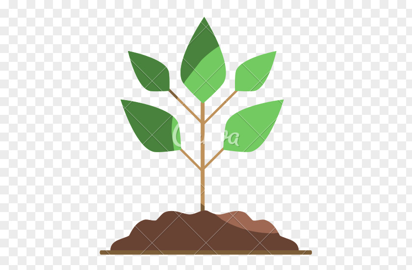 Natural Environment Soil Test Health Clip Art PNG