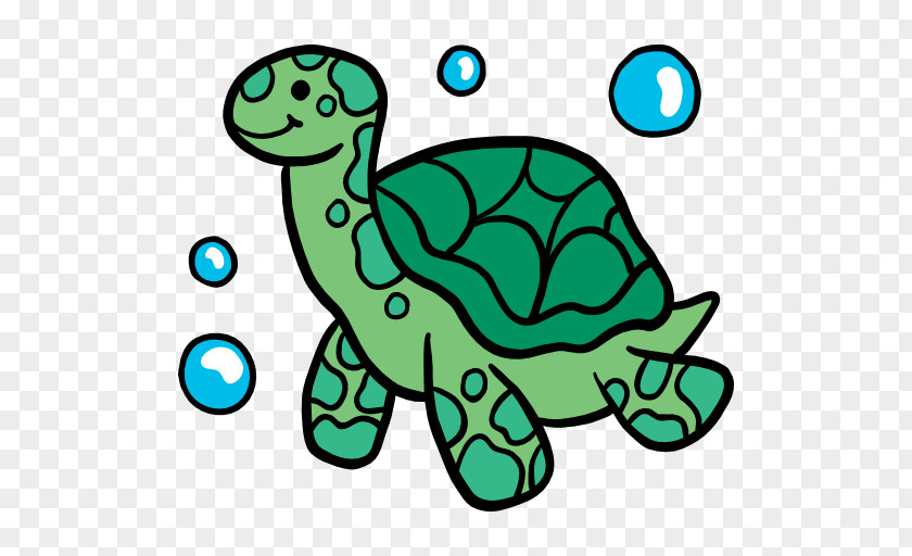 Tortoide Turtle Icon Design Clip Art PNG