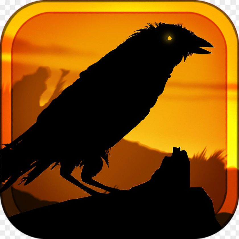 Crow Common Raven IPod Touch App Store Game PNG