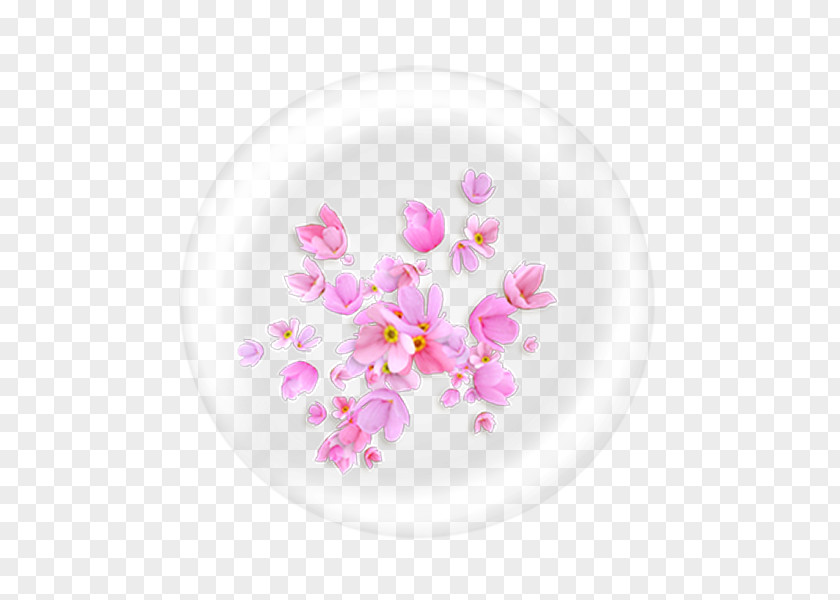 Flower Color Transparency And Translucency Clip Art PNG