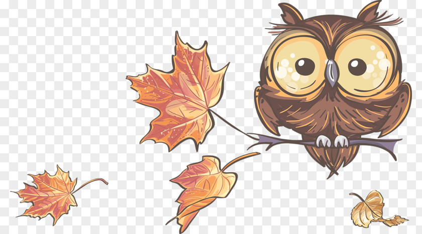 Maple Leaf Painted Owl PNG