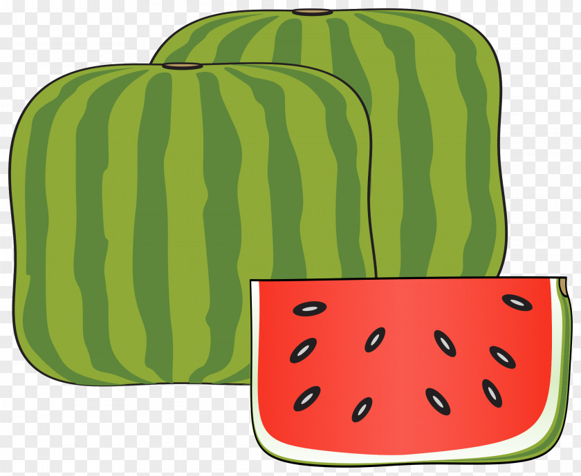 Watermelon Cucurbitaceae Clip Art PNG