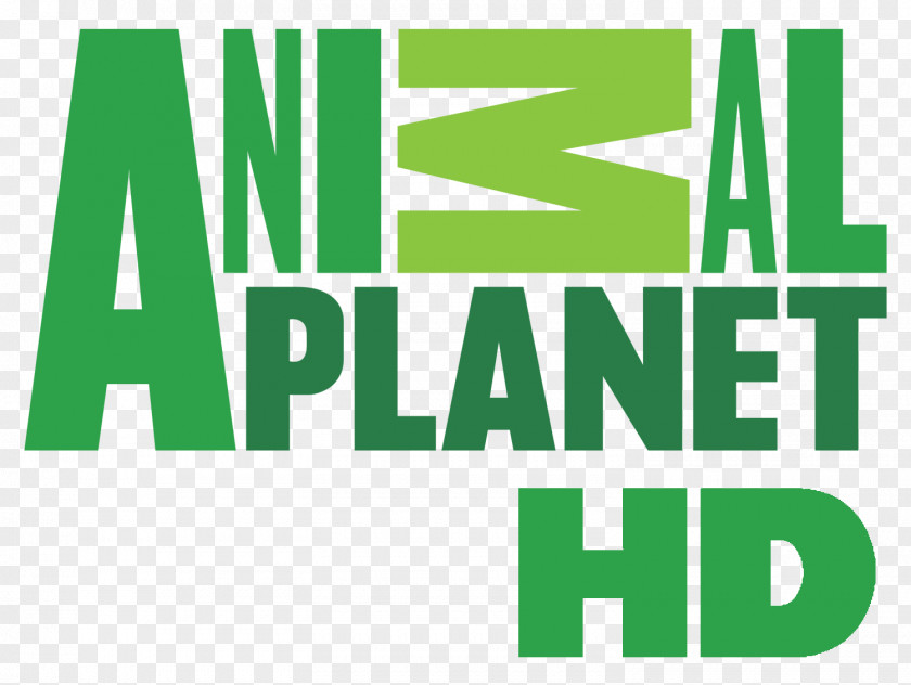 Channel Animal Planet High-definition Television PNG