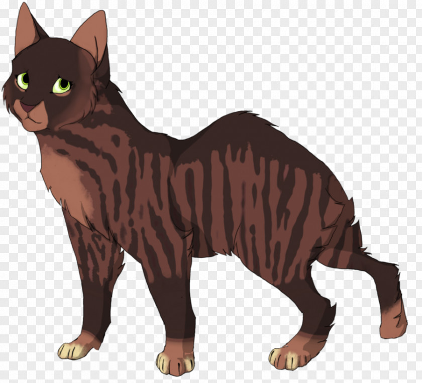 Kitten Toyger Manx Cat Sokoke Whiskers PNG