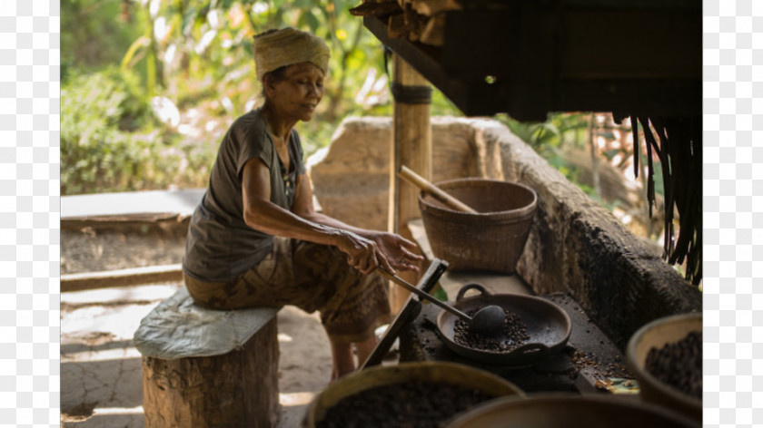 Kopi Luwak Yuenyeung Black Tea Coffee Drink PNG