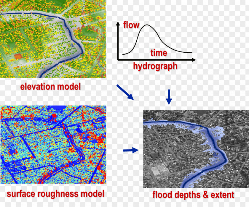 Line Point Organism Map Water Resources PNG