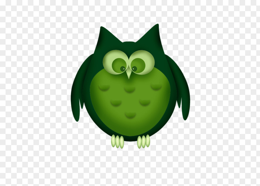 Owl Clip Art Image Cartoon PNG