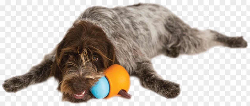 Pet Toys Wirehaired Pointing Griffon Dog Cat Puppy PNG
