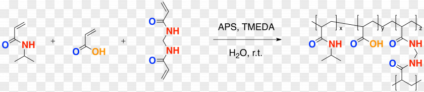 Poly(N-isopropylacrylamide) Polymerization Tetramethylethylenediamine Ammonium Persulfate PNG