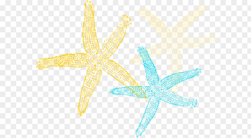 Print Poster Starfish Echinoderm Clip Art PNG