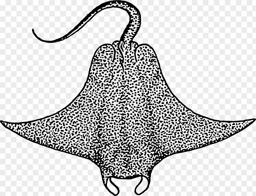 Sea Clipart Devil Fish Drawing Giant Oceanic Manta Ray Clip Art PNG