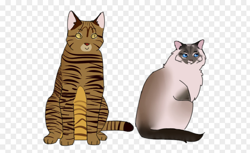 Siamese Cat Drawings Easy Whiskers Domestic Short-haired Tabby Paw PNG