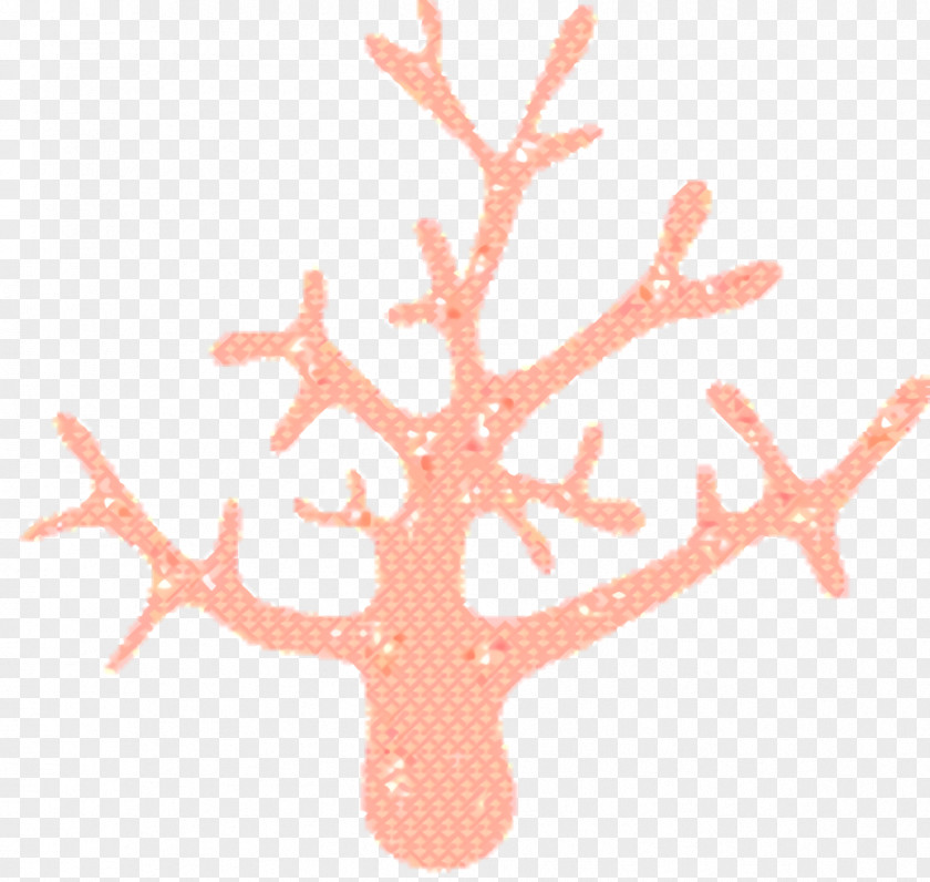 Tree Branch Coral Background PNG