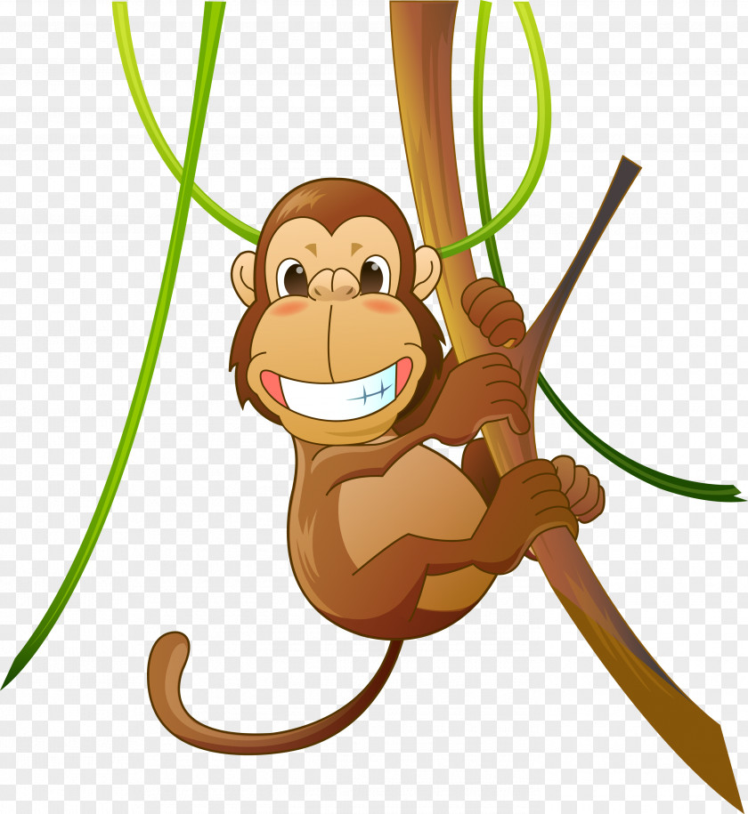 Vector Monkey Ape New World Primate PNG