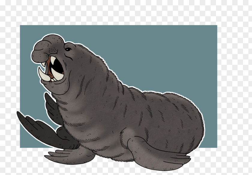 Walrus Sea Lion Earless Seal Art Leopard PNG