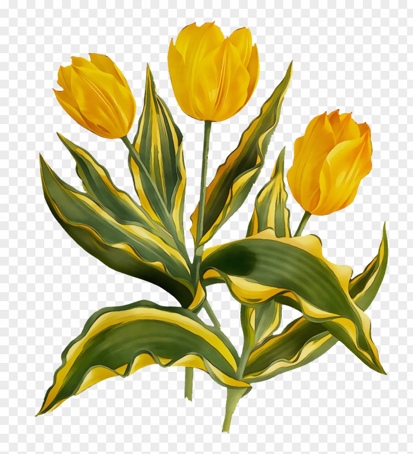 Artificial Flower PNG