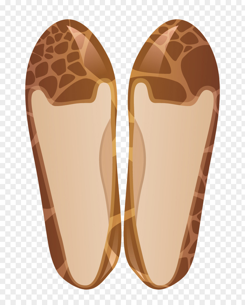 Hedgehog Color Shoes Slipper Flip-flops Shoe Footwear PNG