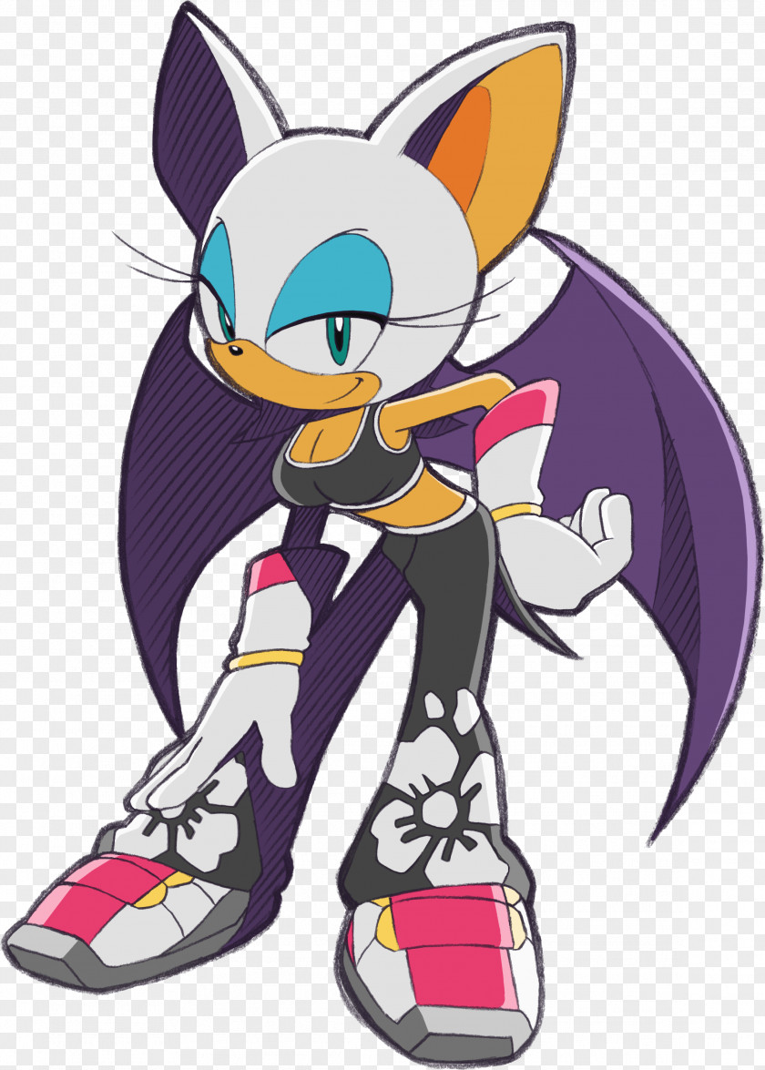 Hedgehog Sonic Riders Rouge The Bat Battle Adventure 2 Shadow PNG