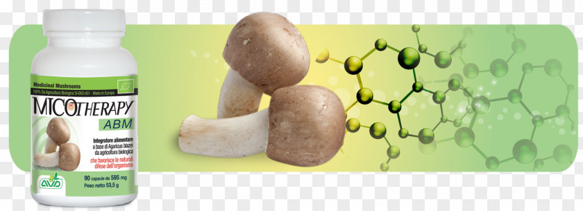 Mushroom Agaricus Subrufescens Medicinal Fungi Fungus Common PNG