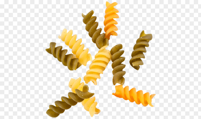 Pasta Fusilli Shape Radiatori Spinach PNG
