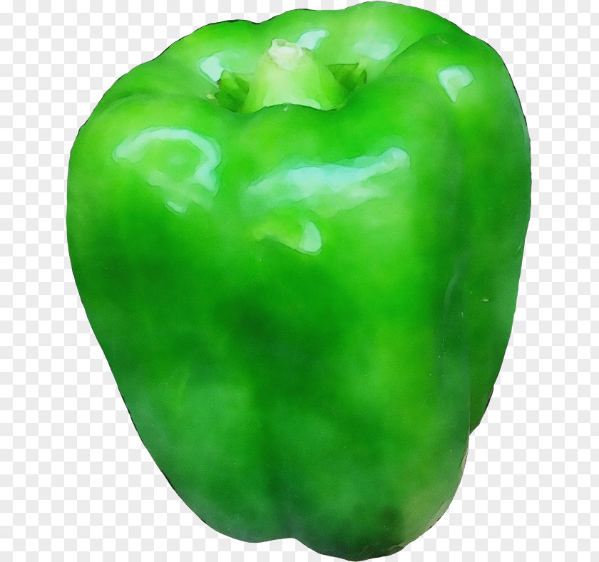 Red Bell Pepper Plant Pimiento Green Capsicum PNG