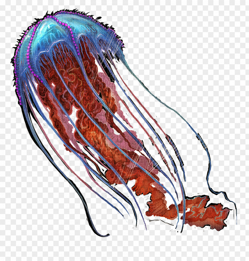 True Jellyfishes ARK: Survival Evolved Marine Invertebrates Cotylorhiza Tuberculata PNG