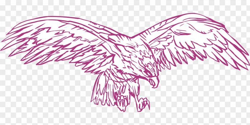 Wings Drawing Bird Eagle Clip Art PNG