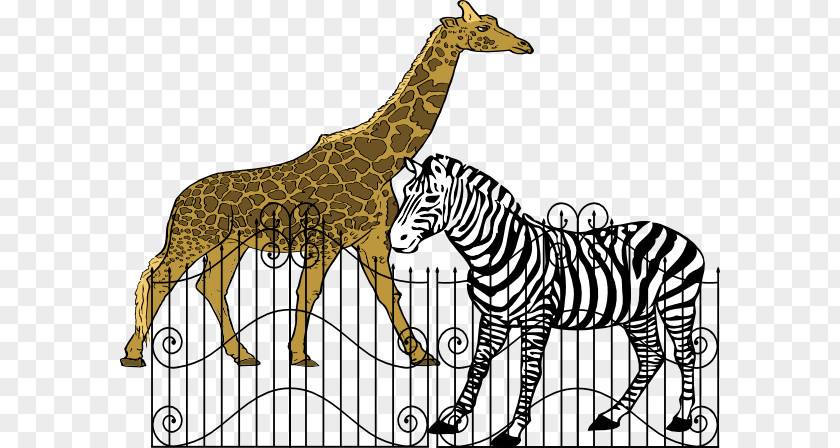 Zoo Cliparts Free Content Clip Art PNG