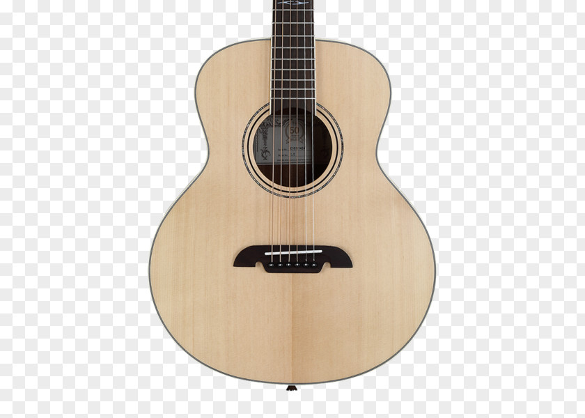 Acoustic Gig Guitar Acoustic-electric Twelve-string PNG