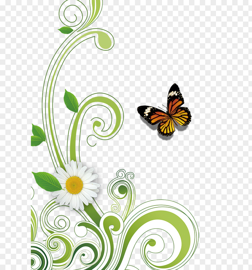 Butterfly Nymphalidae Illustration PNG