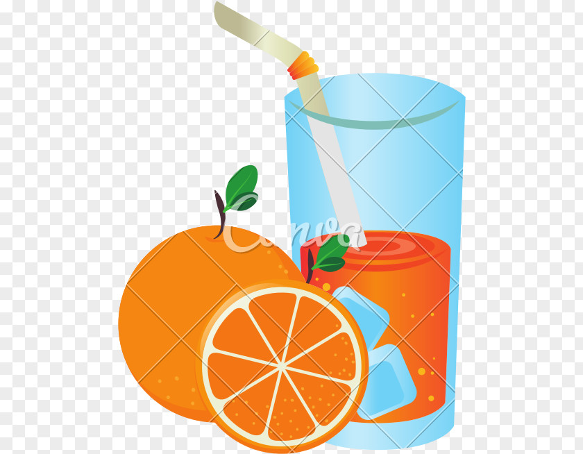 Drinking Summer Cartoon Orange Juice Fruit Illustration PNG