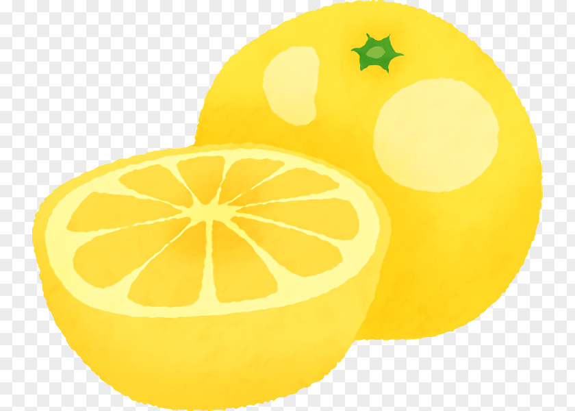 Lemon Citron Grapefruit Sweet Citric Acid PNG