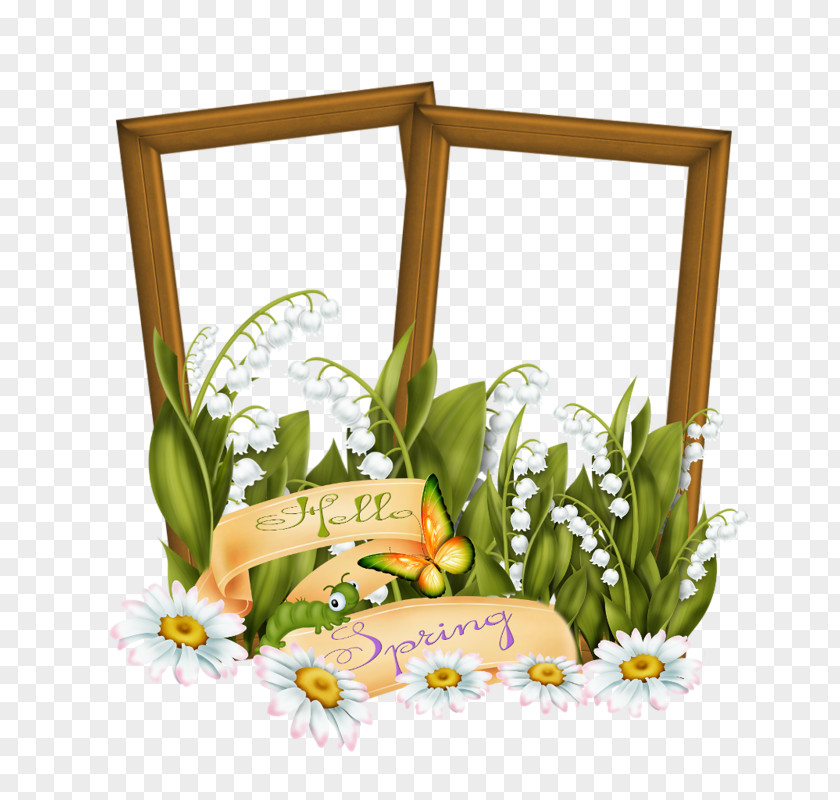 Lily Of The Valley Flower Picture Frames Floristry PNG