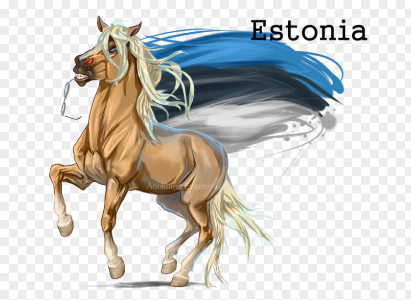 Mustang Mane Pony Stallion Estonian Horse PNG
