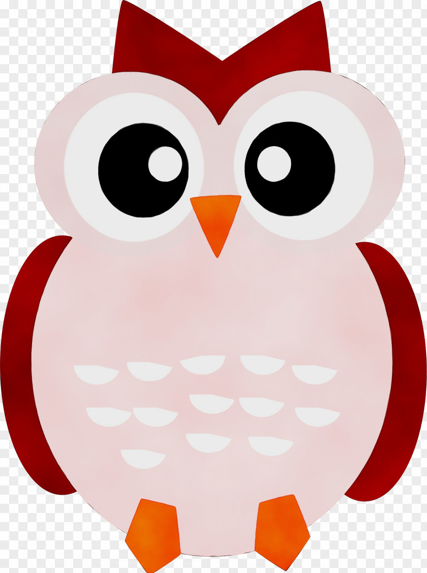 Owls Drawing Cartoon Computer Graphics Logo PNG