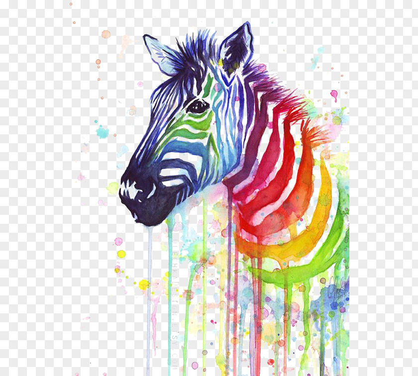 Zebra Color Splash T-shirt Paper Painting Rainbow PNG