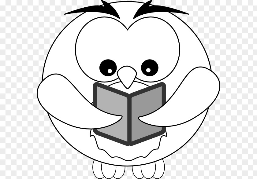 All Kinds Of Owls Owl Drawing Outline Clip Art PNG