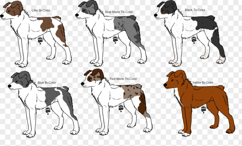 Australian Shepherd Dog Breed American Foxhound English Harrier PNG