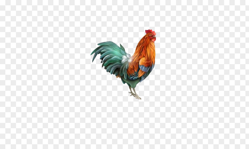 Big Cock Painted Material Picture Rooster Drawing Royalty-free Illustration PNG