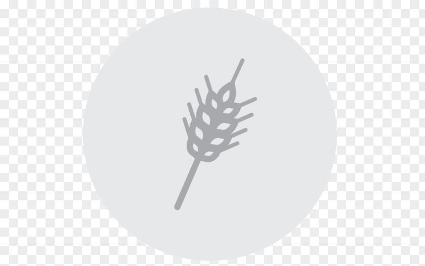 Tableware Hand Leaf Line PNG