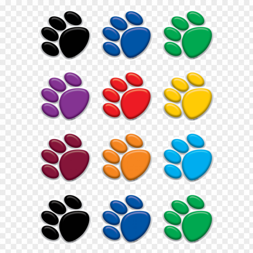 Colorful Posters Color Teacher Paper Art Paw PNG