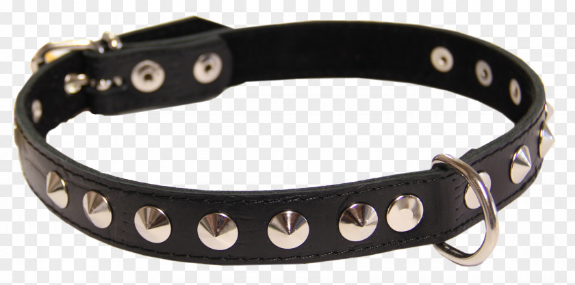 Dog Collar Breed PNG