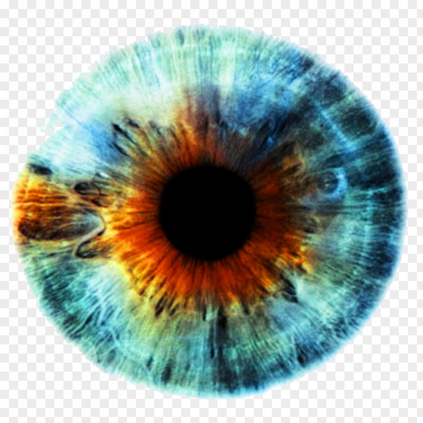 Eyes Iris Human Eye Color PNG