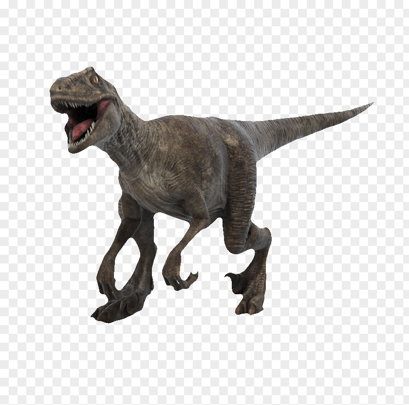 Realistic 3D Dinosaurs Velociraptor Brachiosaurus Tyrannosaurus Dinosaur VR PNG