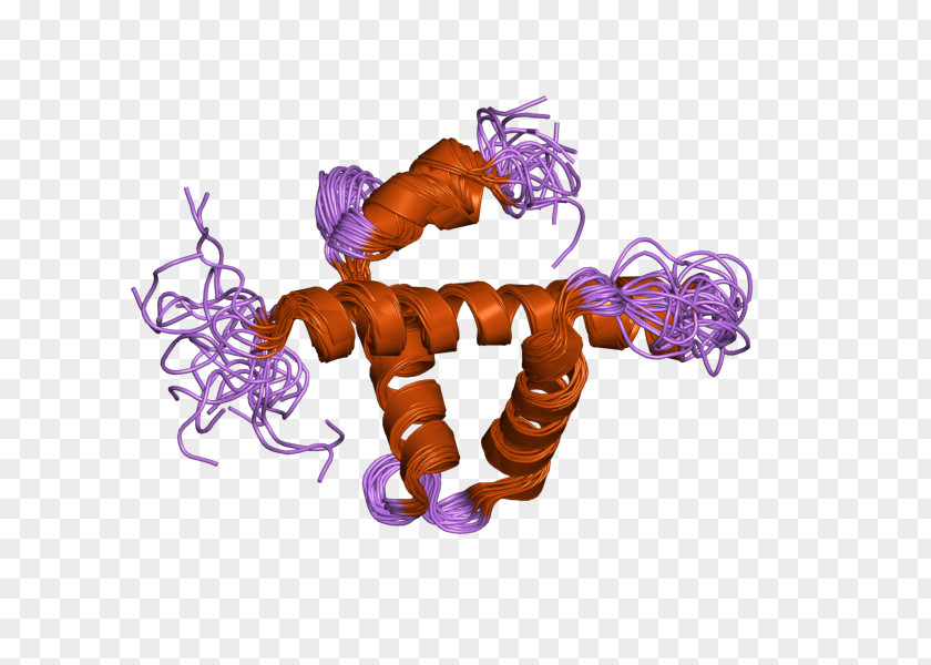 Singlestranded Binding Protein Art Character Animal Fiction PNG