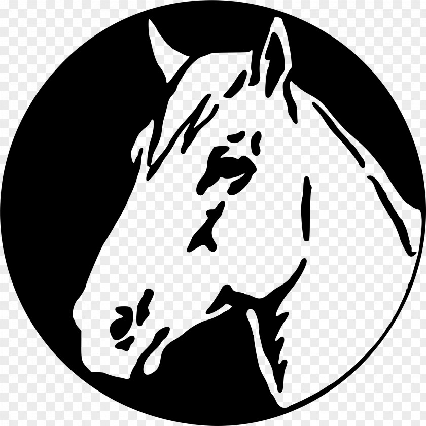 Unicorn Head Horse Pony Borders And Frames Clip Art PNG