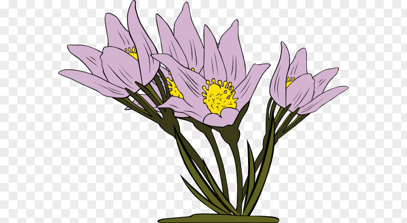 Anemone Cliparts Flower Animation Clip Art PNG